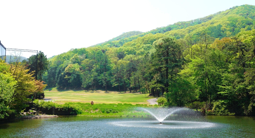 양지파인컨트리클럽 골프장 예약 이미지 6