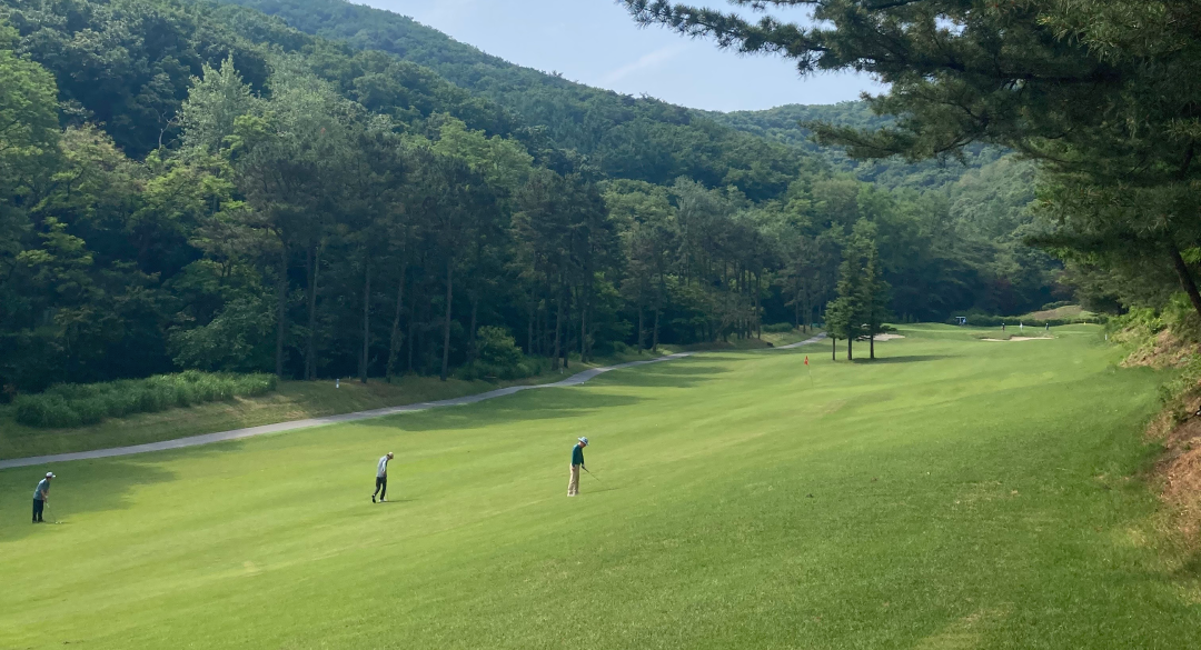 양지파인컨트리클럽 골프장 예약 이미지 8