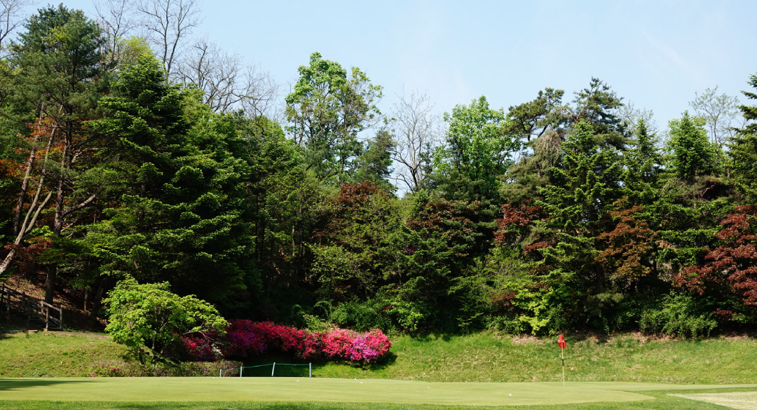양지파인컨트리클럽 골프장 예약 이미지 12