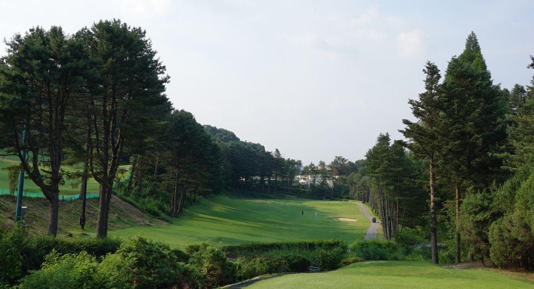 양지파인컨트리클럽 골프장 예약 이미지 7