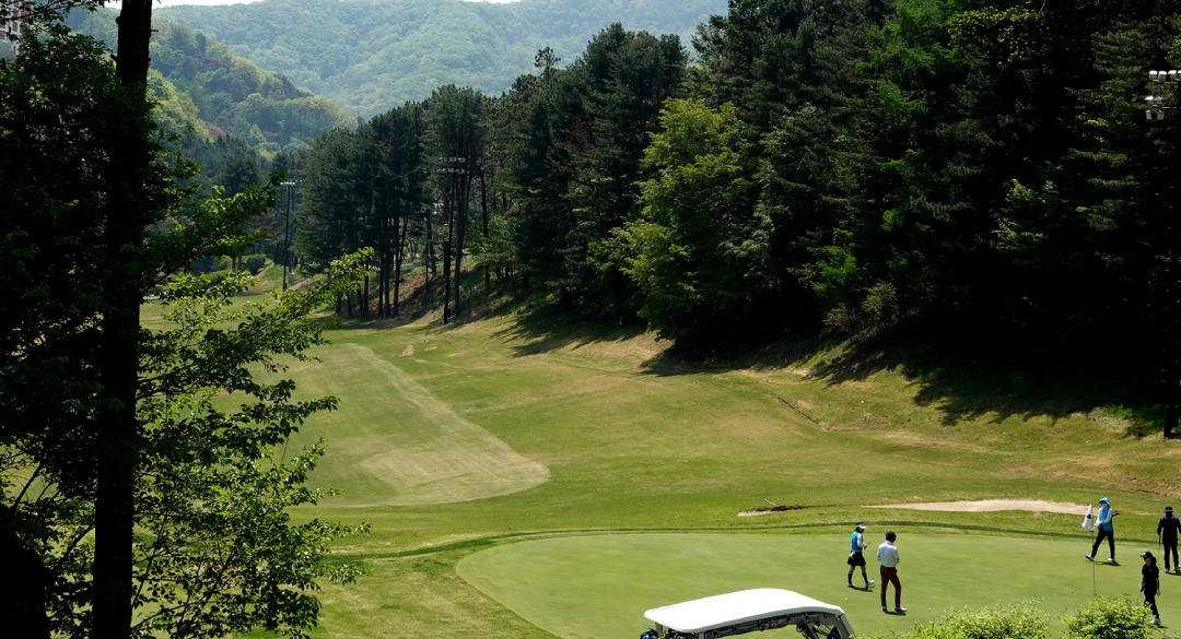 양지파인컨트리클럽 골프장 예약 이미지 10