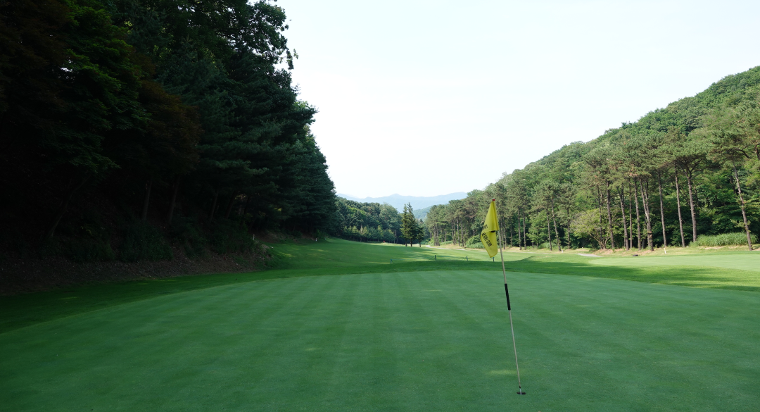 양지파인컨트리클럽 골프장 예약 이미지 9