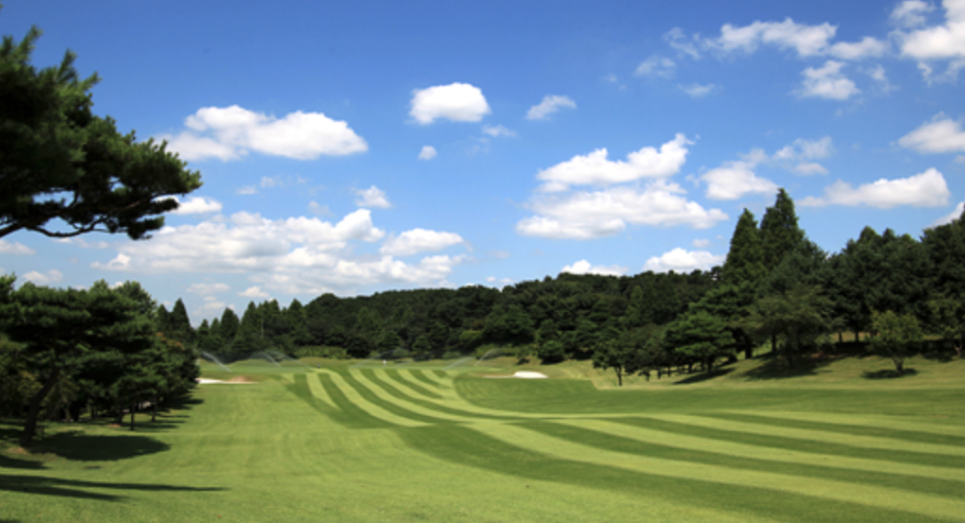 남부컨트리클럽 골프장 예약 이미지 2