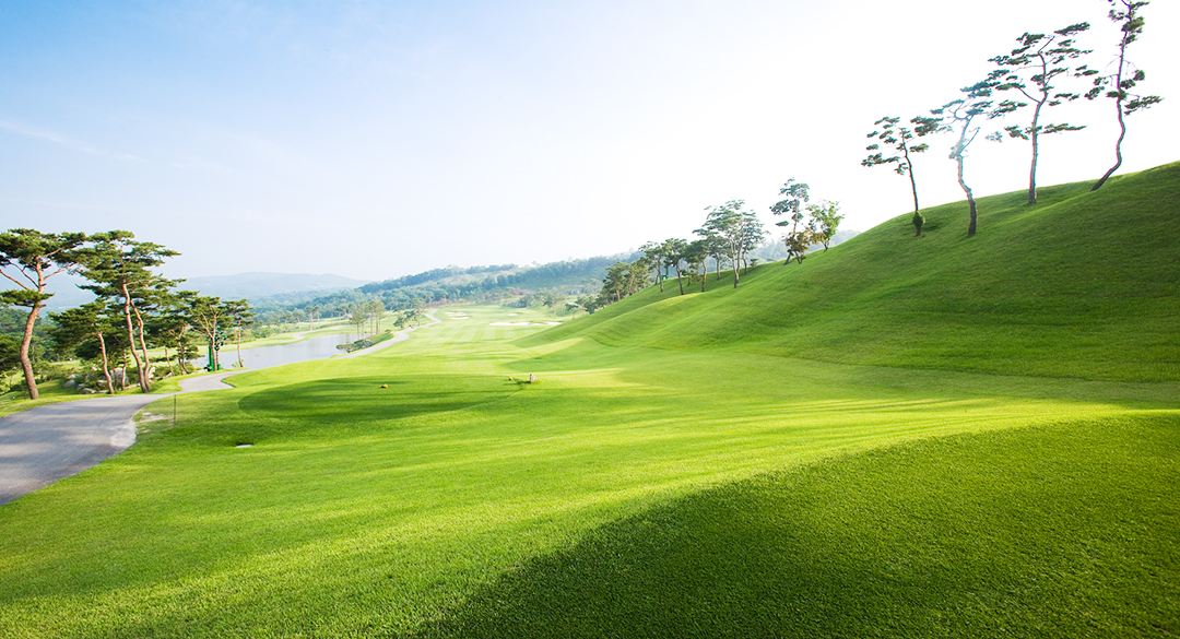 비에이비스타컨트리클럽 골프장 예약 이미지 2