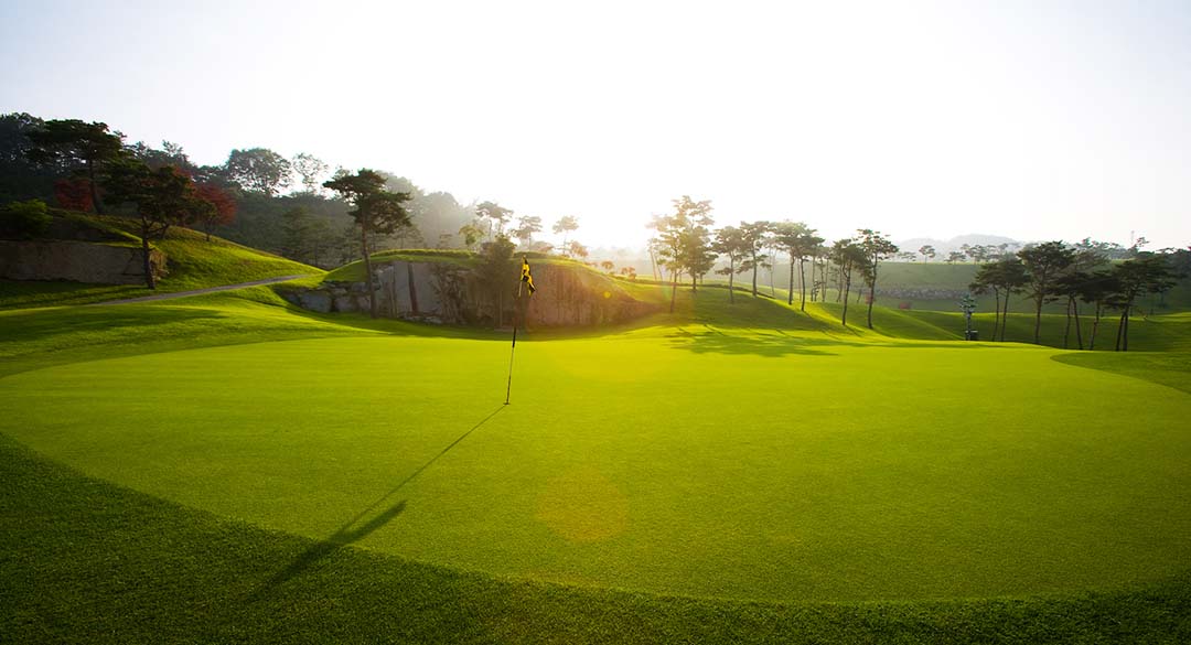 비에이비스타컨트리클럽 골프장 예약 이미지 6