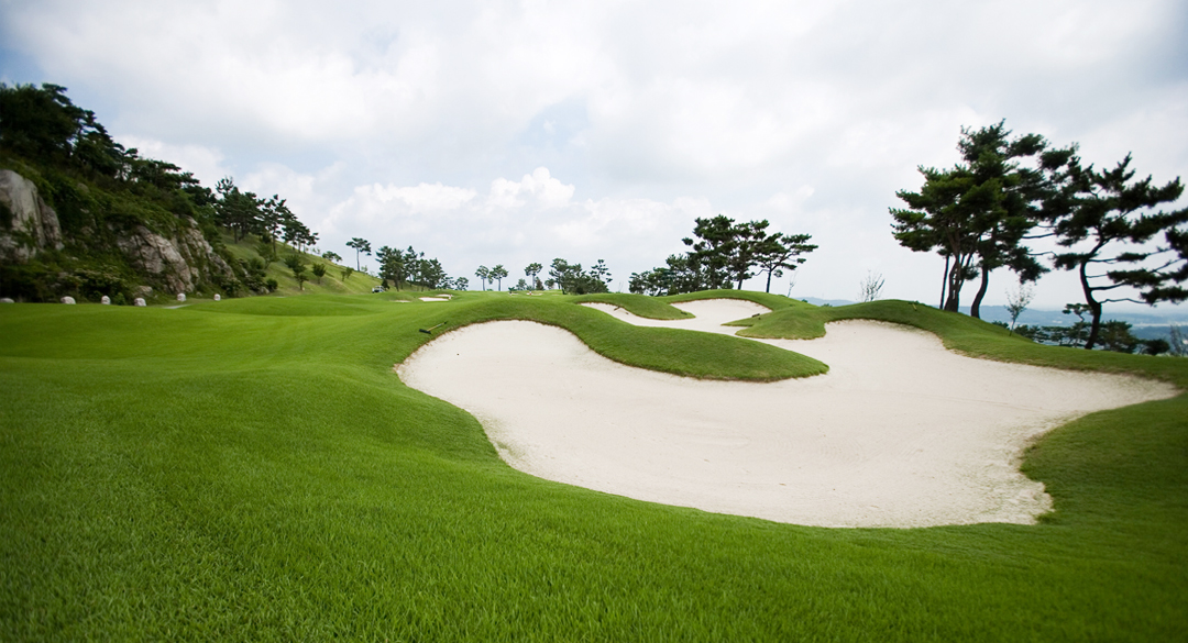 비에이비스타(P)컨트리클럽 골프장 예약 이미지 3