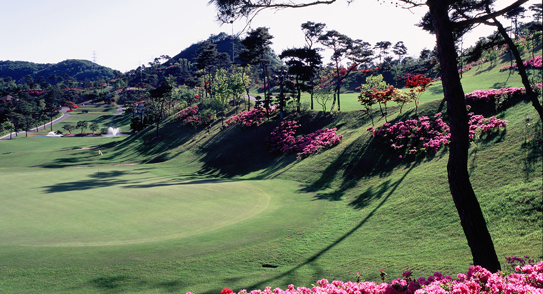 신안컨트리클럽 골프장 예약 이미지 6