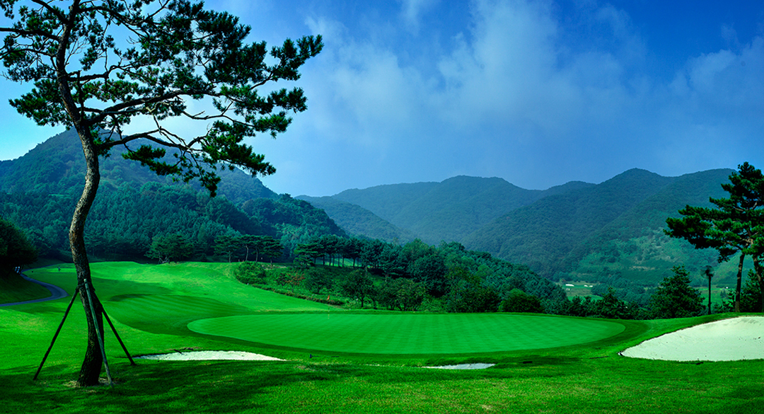안성컨트리클럽 골프장 예약 이미지 2